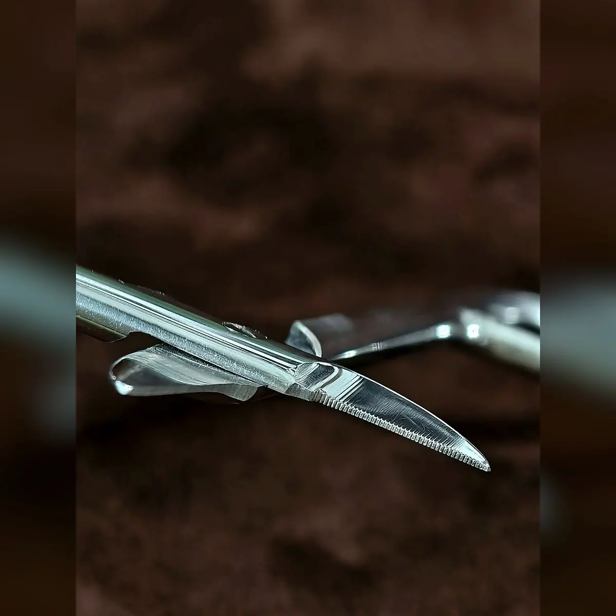 Crown Scissors by Morbella Instruments — curved serrated blades, close-up, photographed at the Sialkot workshop