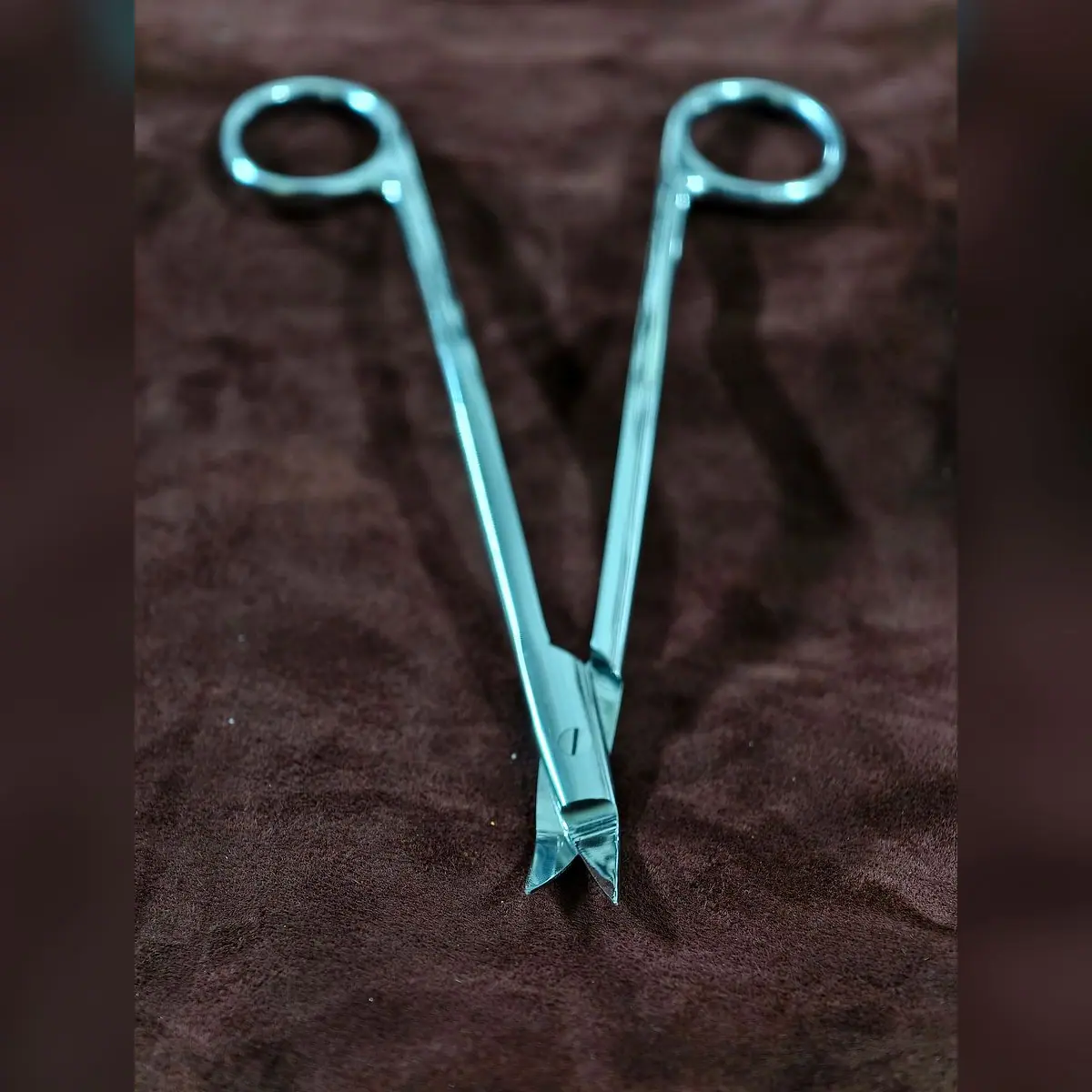 Dean Scissors by Morbella Instruments — blades open, photographed at the Sialkot workshop
