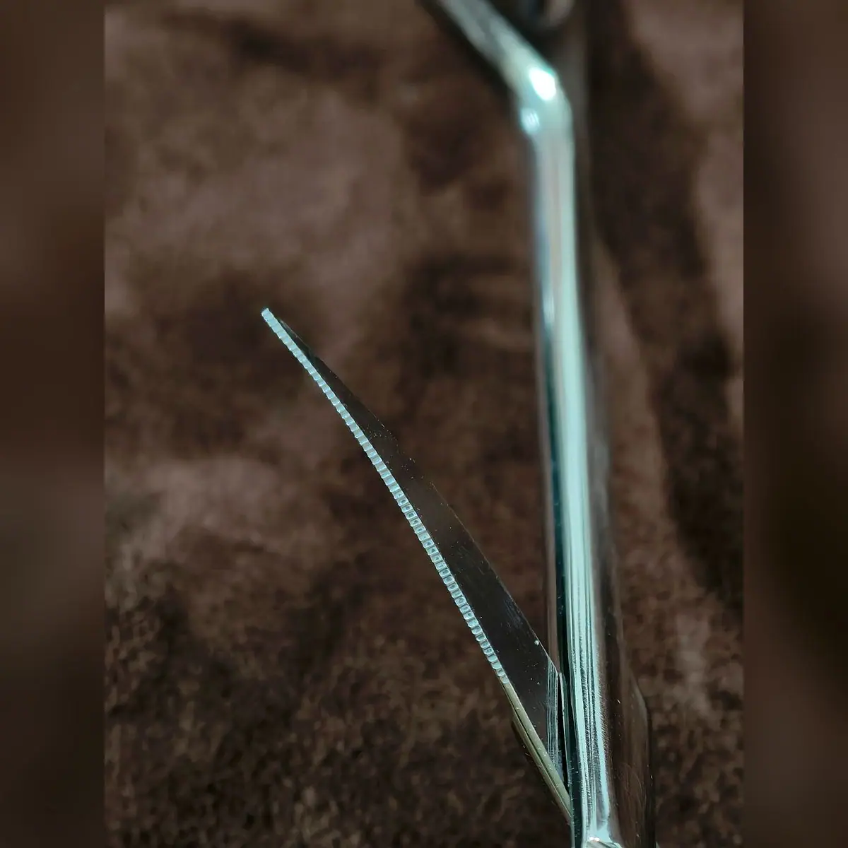 Iris Scissors, J2 Polish (Special) by Morbella Instruments — fine blade edge, close-up, photographed at the Sialkot workshop