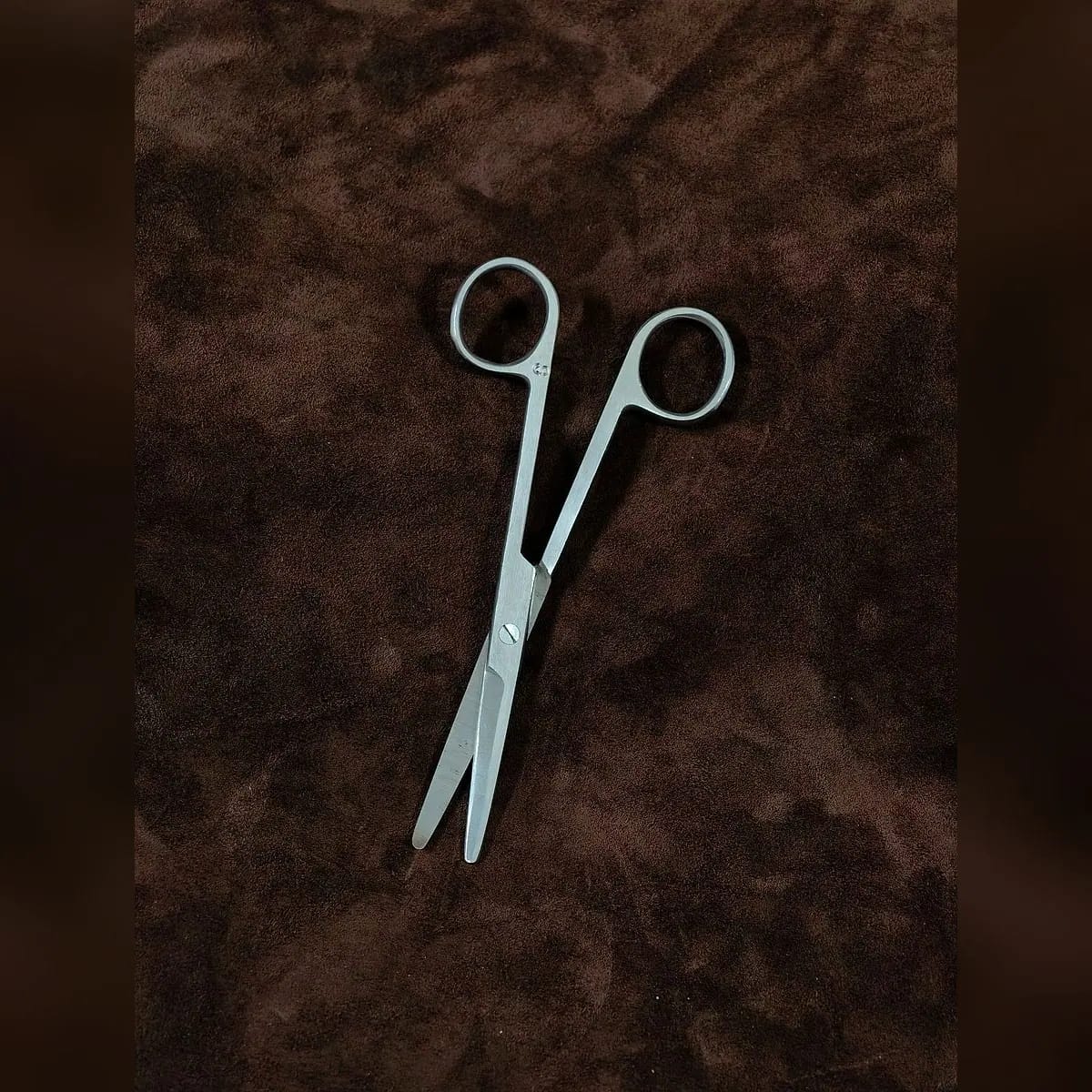 Mayo Scissors, Straight by Morbella Instruments — blades slightly open, photographed at the Sialkot workshop