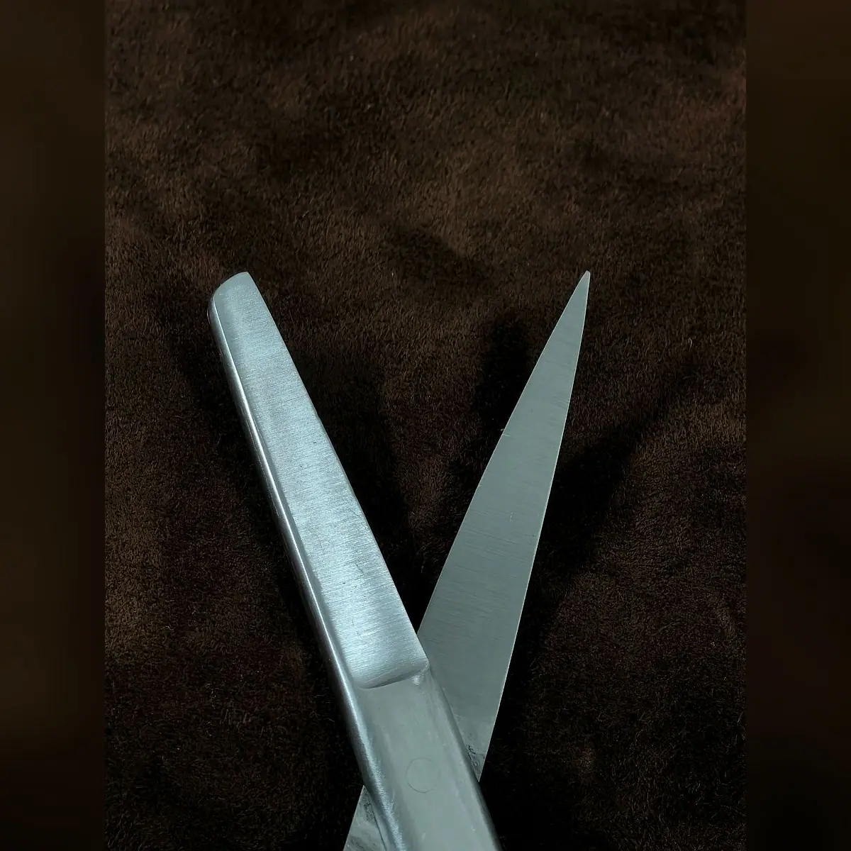 Operating Scissors Sharp/Blunt by Morbella Instruments — sharp and blunt tips, close-up, photographed at the Sialkot workshop